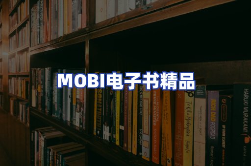 外文电子书产品