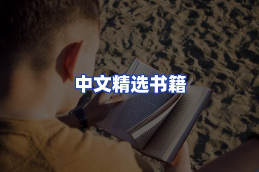 中文精选书籍